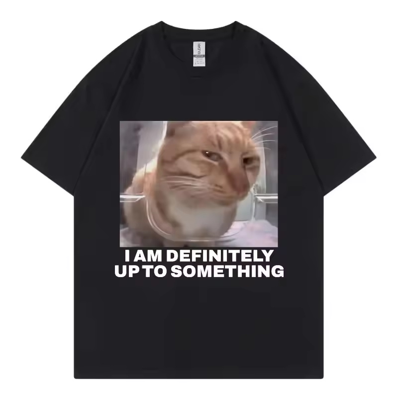Street Fashion Definition - Kesinlikle Bir Şeyin Peşindeyim Komik Kedi